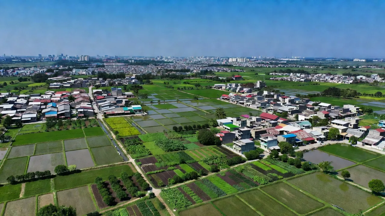Cảnh quan Phường 7, Quận 8 với đất nông nghiệp và khu dân cư giữa trời xanh, Thành phố Hồ Chí Minh.