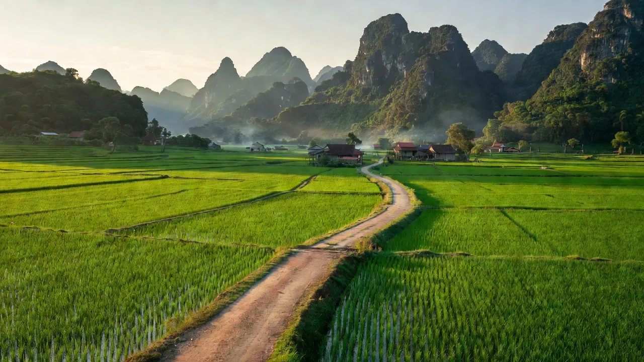 Xã Nam Phong, Huyện Cao Phong, Tỉnh Hoà Bình
