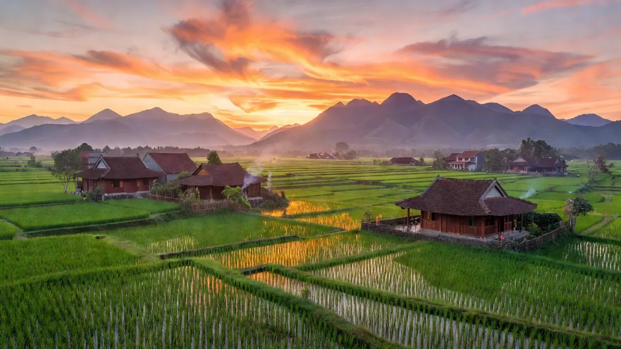 Cảnh đẹp Phường Tứ Hạ, Hương Trà, Huế với cánh đồng xanh và nhà truyền thống.