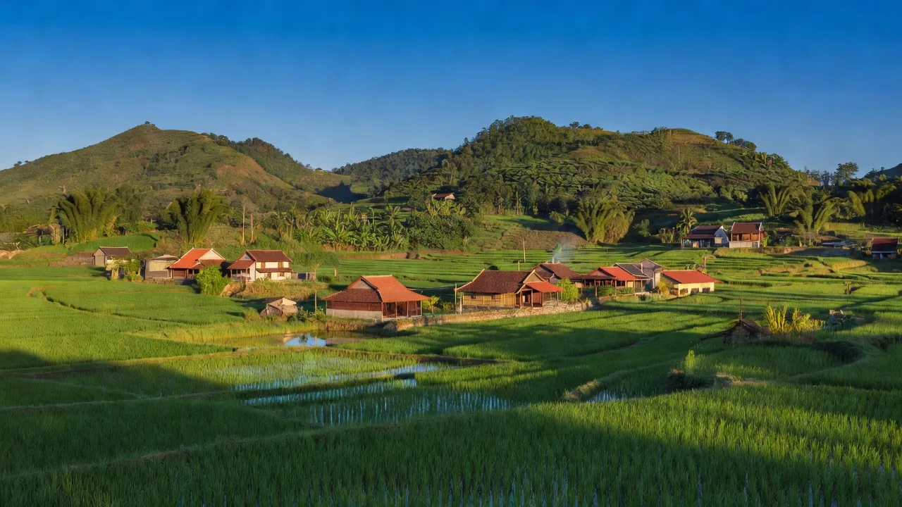 Phường Phong Hải, Thị xã Phong Điền, Thành phố Huế