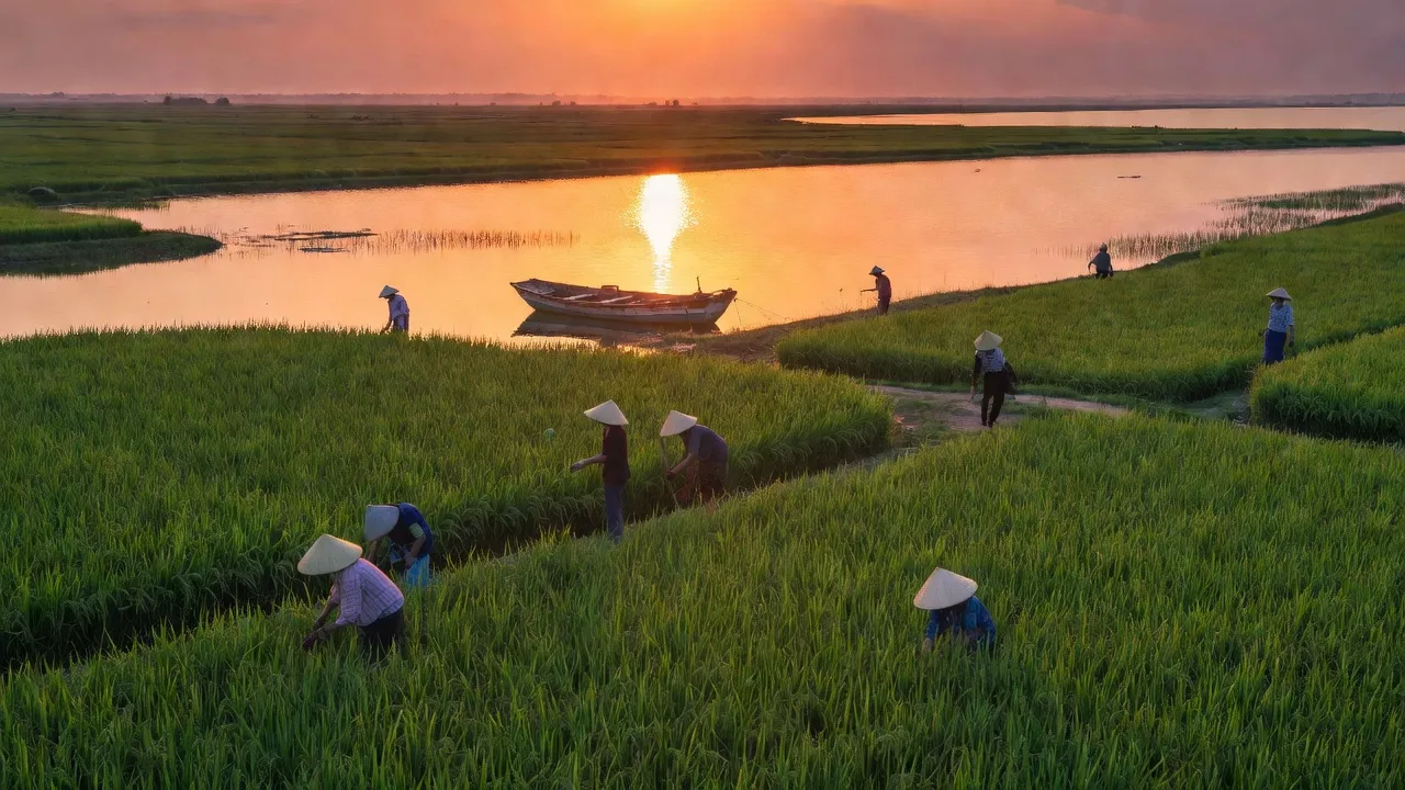 Cảnh đẹp xã Phú Thuận, huyện Phú Vang với đầm phá Tam Giang và cánh đồng xanh, tạo sự yên bình.