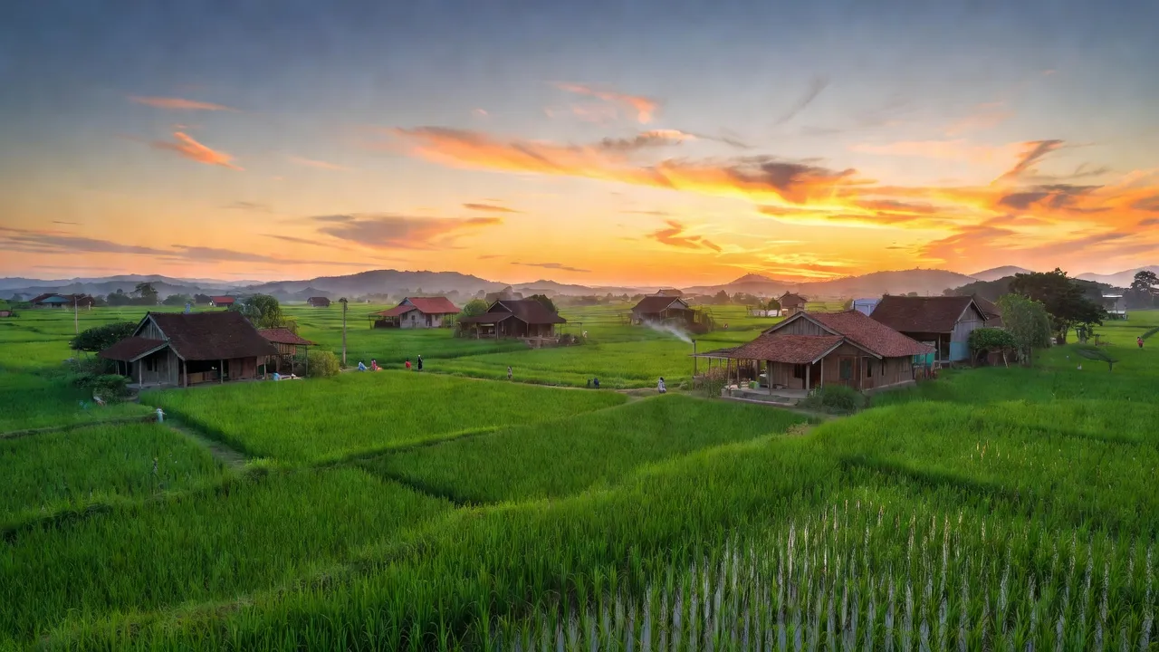 Cảnh đẹp vùng quê xã Quảng Thọ, huyện Quảng Điền, thành phố Huế với cánh đồng xanh và nhà truyền thống.