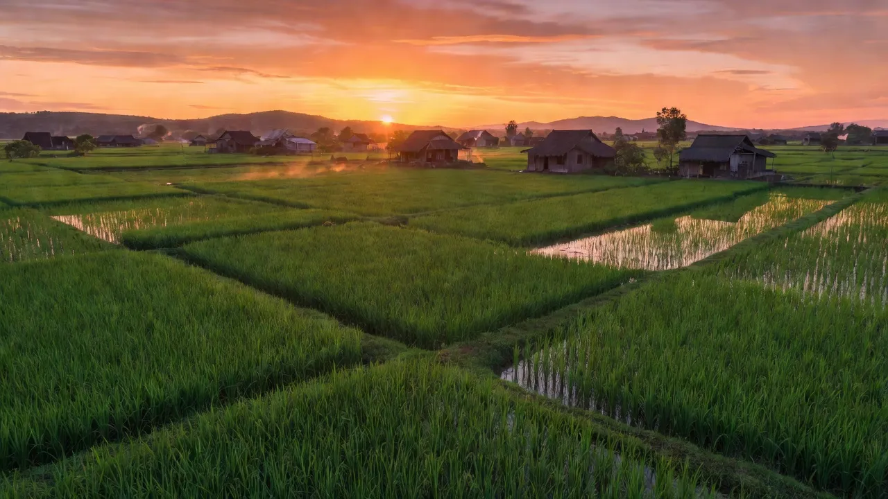 Xã Quang Vinh, Huyện Ân Thi, Tỉnh Hưng Yên
