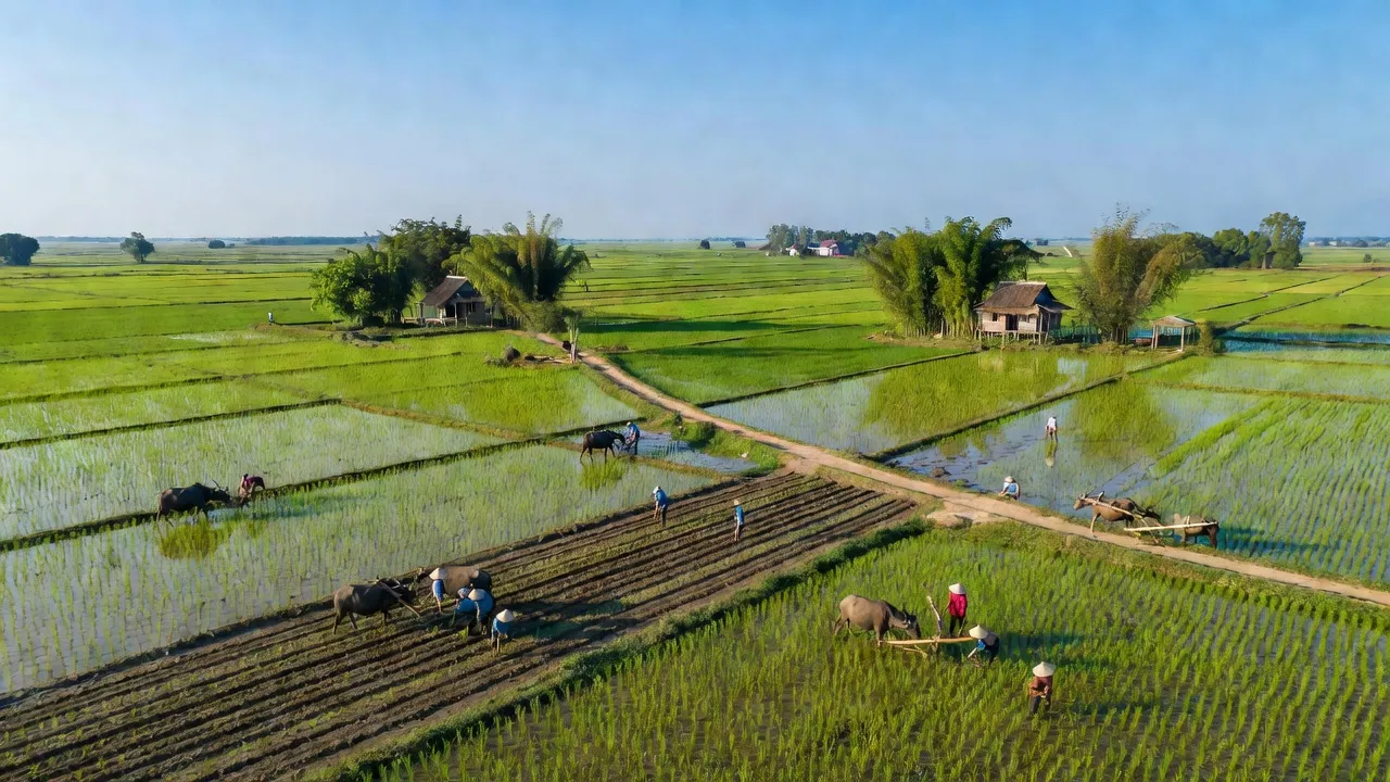 Xã Tiền Phong, Huyện Ân Thi, Tỉnh Hưng Yên
