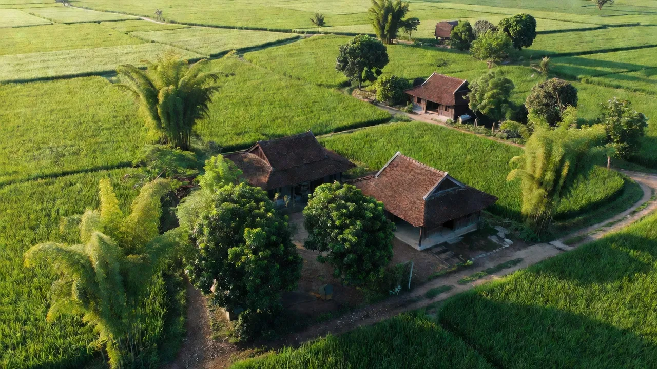 Đông Kết - hình ảnh minh họa 1