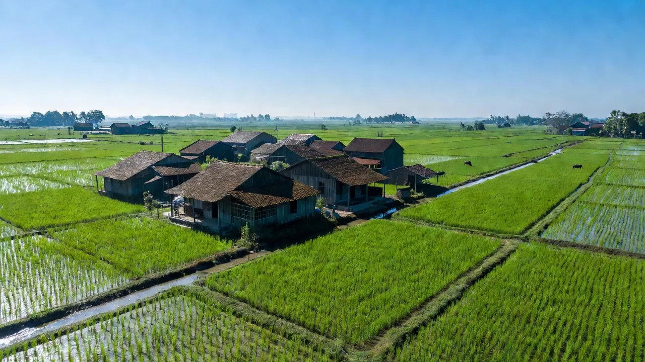 Cảnh đẹp làng Đồng Tiến, huyện Khoái Châu, tỉnh Hưng Yên với nhà truyền thống và đồng xanh.