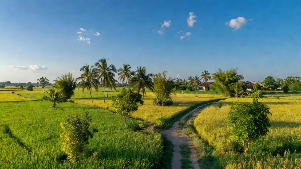 Cánh đồng xanh tươi ở xã Mai Động, huyện Kim Động, tỉnh Hưng Yên, Việt Nam.