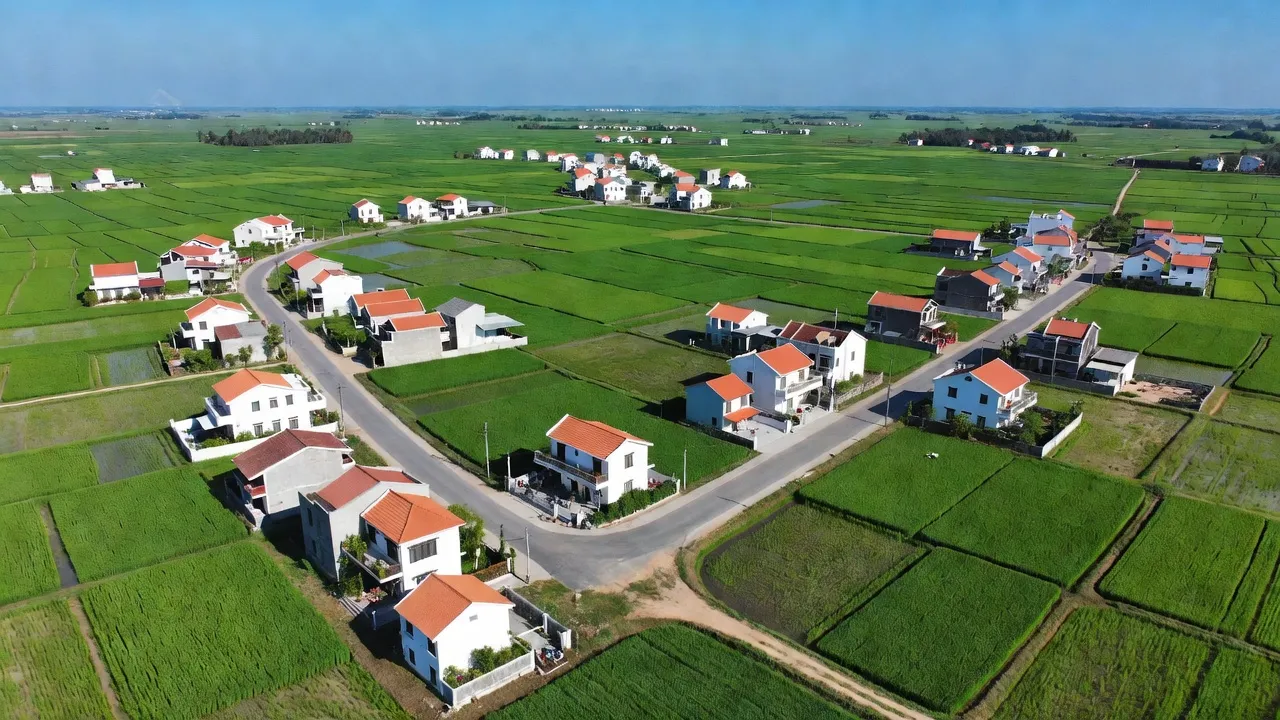 Khung cảnh xã Tam Đa, huyện Phù Cừ, Hưng Yên với ruộng lúa xanh mướt và nhà hiện đại.
