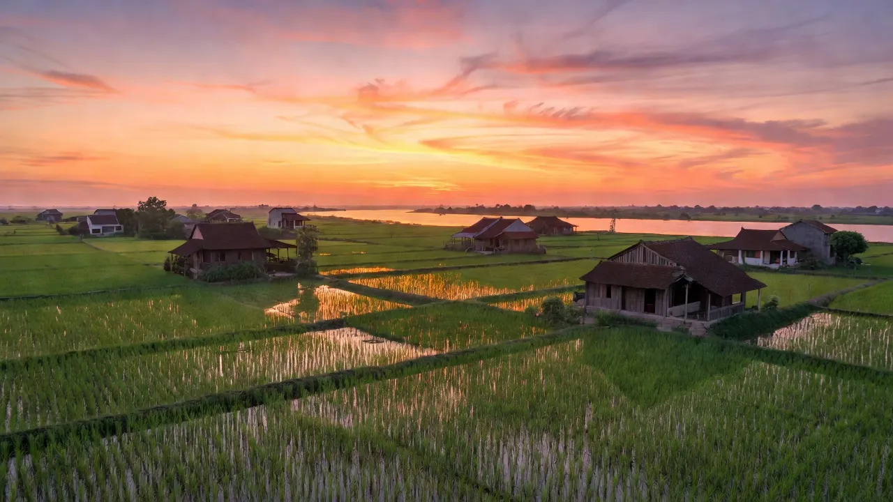 Nhật Tân - hình ảnh minh họa 1