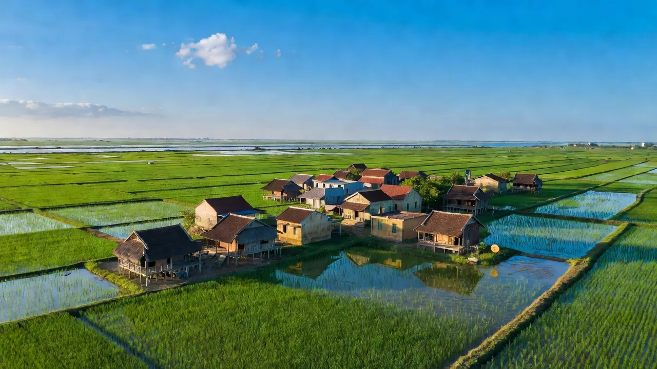 Cảnh đồng quê Xã Mễ Sở, huyện Văn Giang, tỉnh Hưng Yên với cánh đồng xanh và nhà truyền thống.