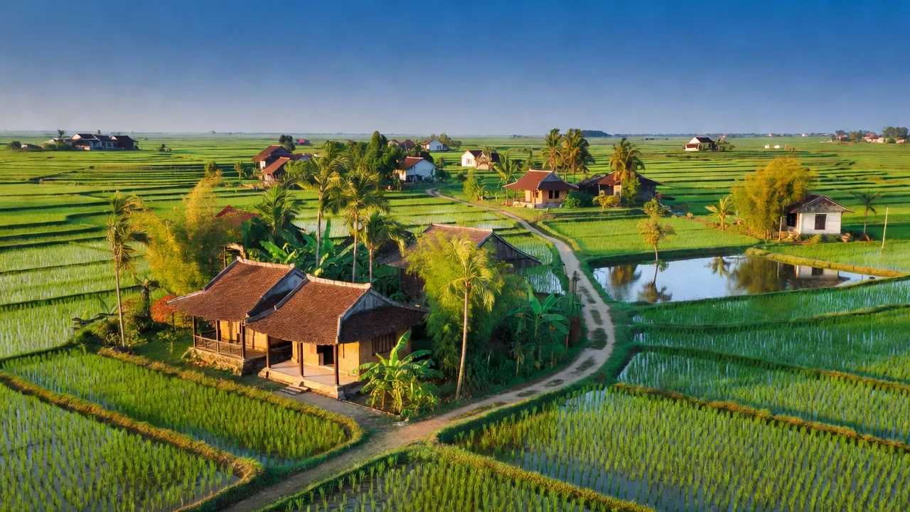 Cảnh đồng quê xã Tân Minh, huyện Yên Mỹ, tỉnh Hưng Yên với ruộng lúa và nhà truyền thống.
