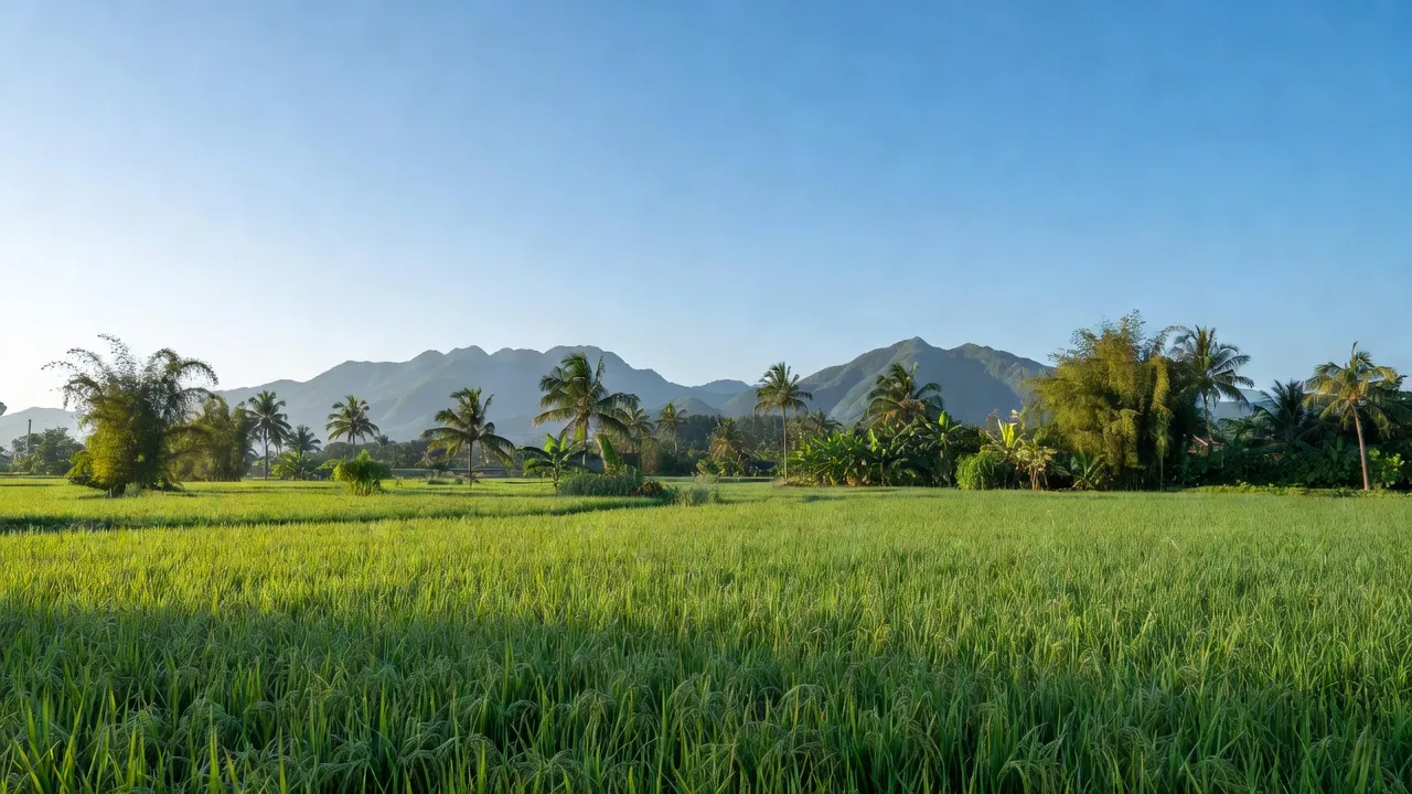 Khung cảnh nông thôn Diên Điền, huyện Diên Khánh, tỉnh Khánh Hòa với cánh đồng và núi xanh.
