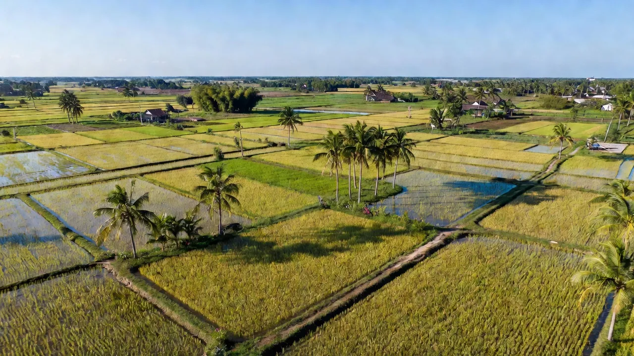 Cảnh đẹp xã Diên Lâm, huyện Diên Khánh, Khánh Hòa, với cánh đồng và cây cối xanh tươi.