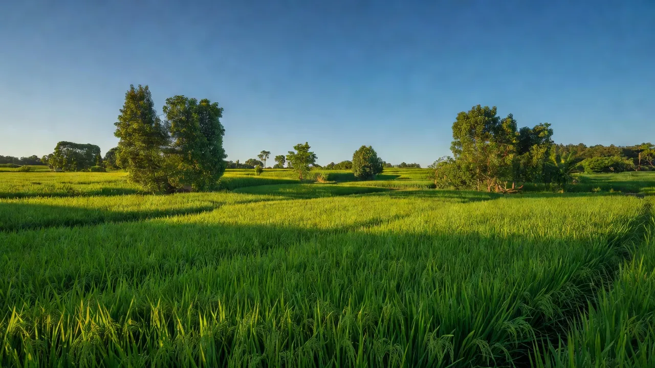 Ninh Đông - hình ảnh minh họa 1