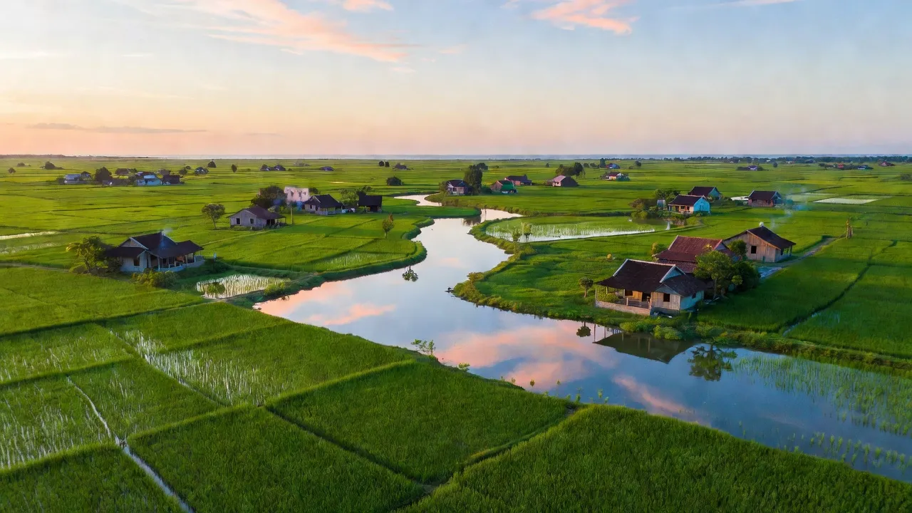 Cảnh quan xã Đông Yên, huyện An Biên, tỉnh Kiên Giang với ruộng lúa và nhà truyền thống.