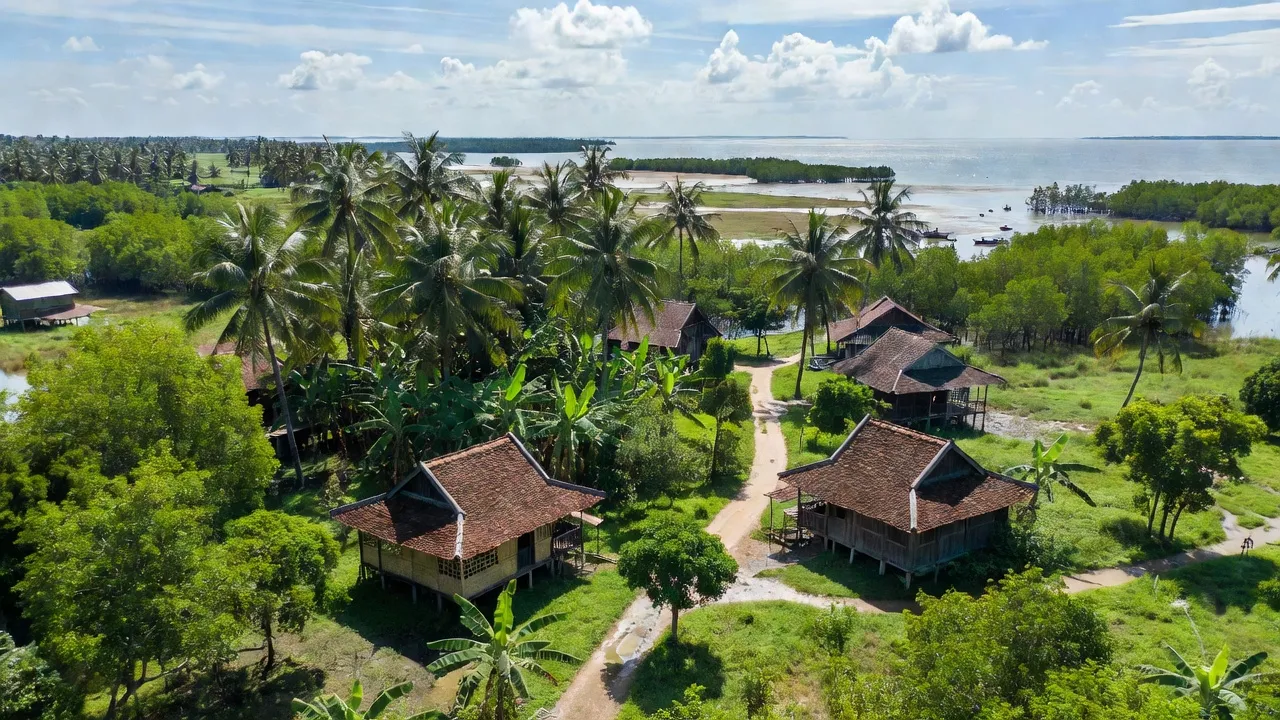 Khung cảnh Xã Nam Thái, huyện An Biên, tỉnh Kiên Giang với cây xanh và nhà truyền thống.