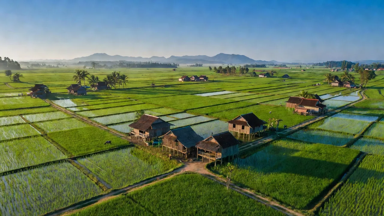 Vùng nông nghiệp huyện Châu Thành, Kiên Giang với cánh đồng xanh tươi và bầu trời trong xanh.