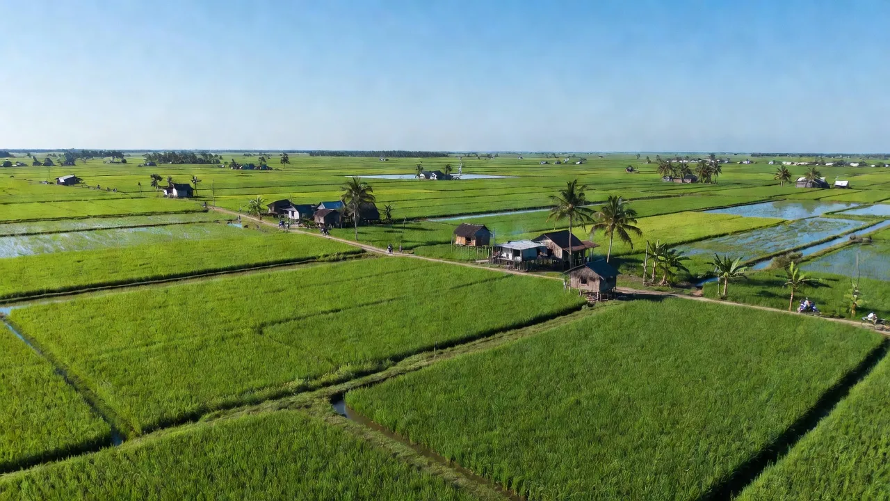 Xã Giục Tượng, Huyện Châu Thành, Tỉnh Kiên Giang
