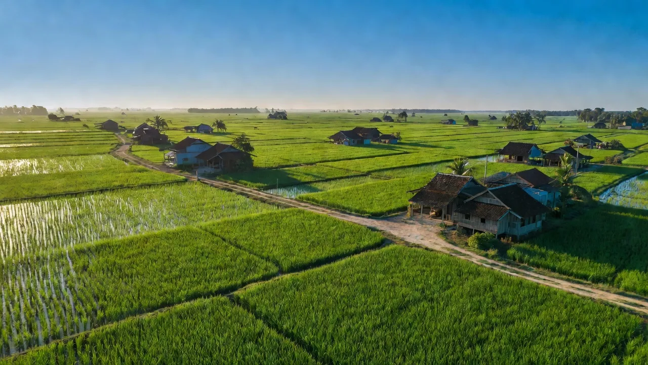 Xã Mong Thọ B, Huyện Châu Thành, Tỉnh Kiên Giang