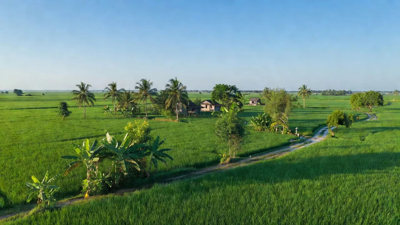 Mong Thọ - hình ảnh minh họa 1