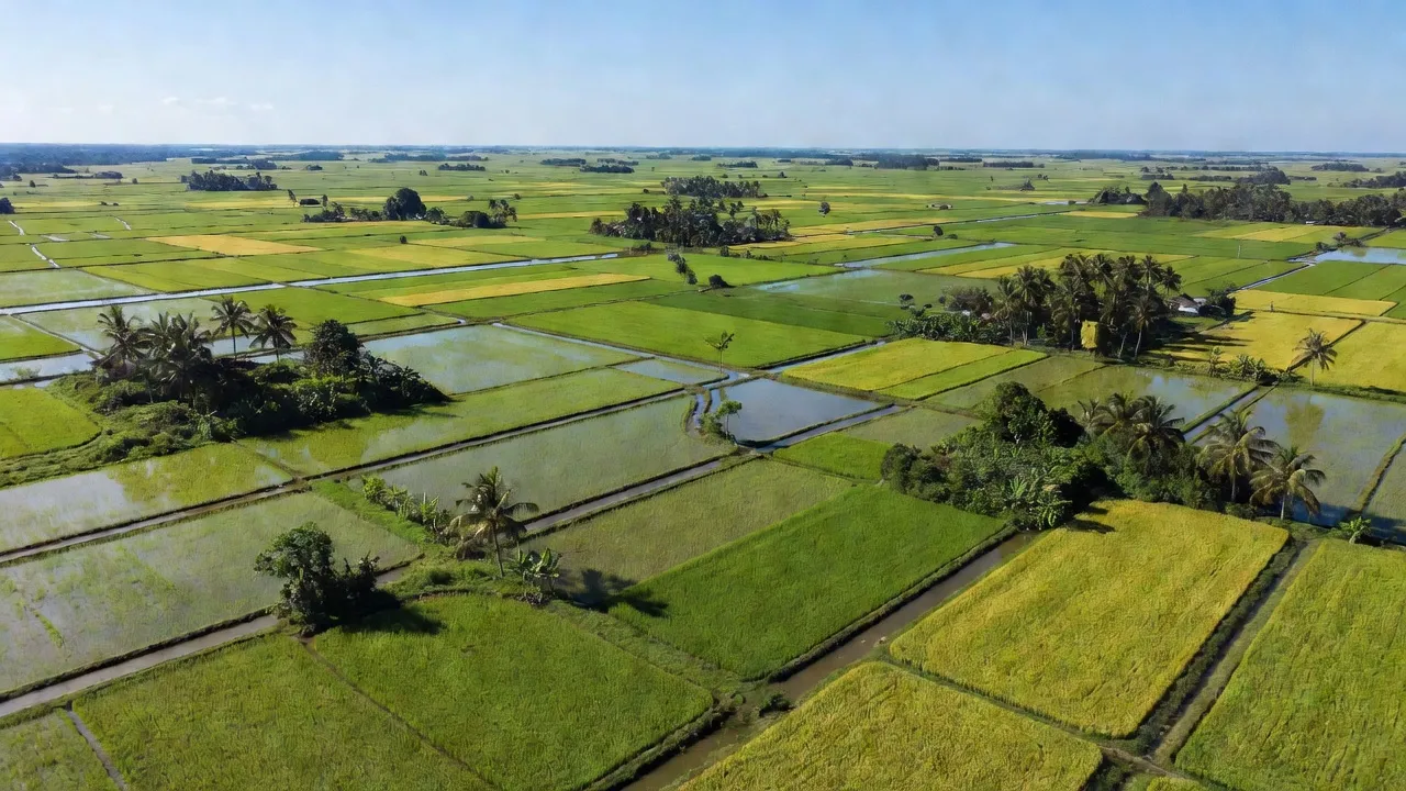 Xã Hoà Lợi, Huyện Giồng Riềng, Tỉnh Kiên Giang
