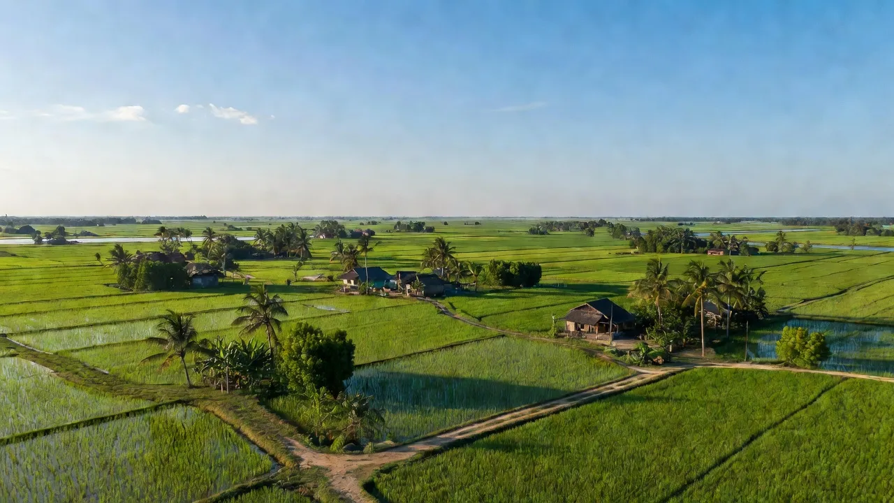 Xã Thủy Liễu, Huyện Gò Quao, Tỉnh Kiên Giang