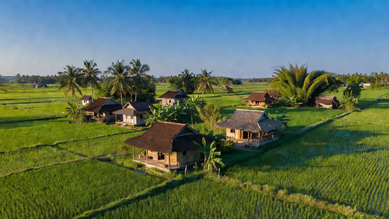 Khung cảnh yên bình xã Thủy Liễu, huyện Gò Quao, tỉnh Kiên Giang, với cánh đồng xanh, nhà truyền thống.