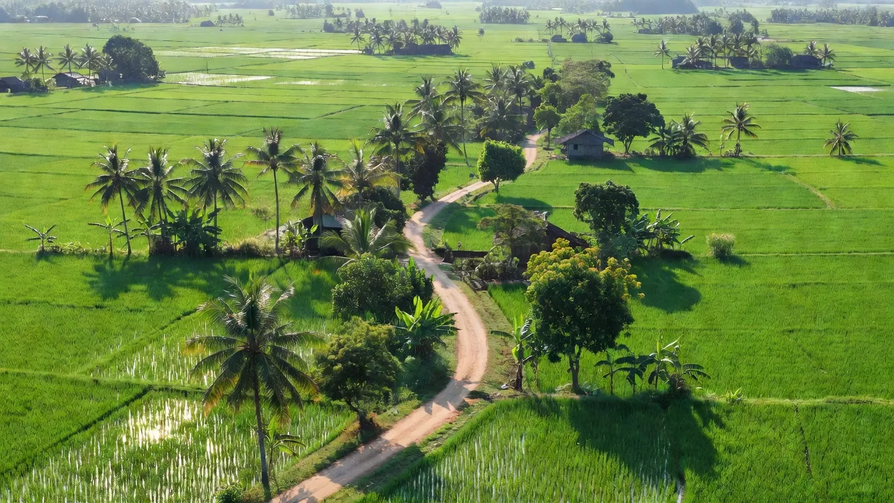 Vĩnh Hòa Hưng Bắc - hình ảnh minh họa 1