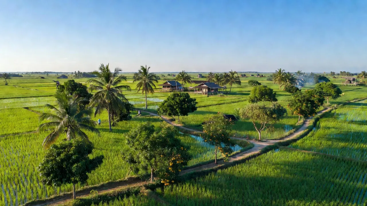 Xã Vĩnh Phước A, Huyện Gò Quao, Tỉnh Kiên Giang