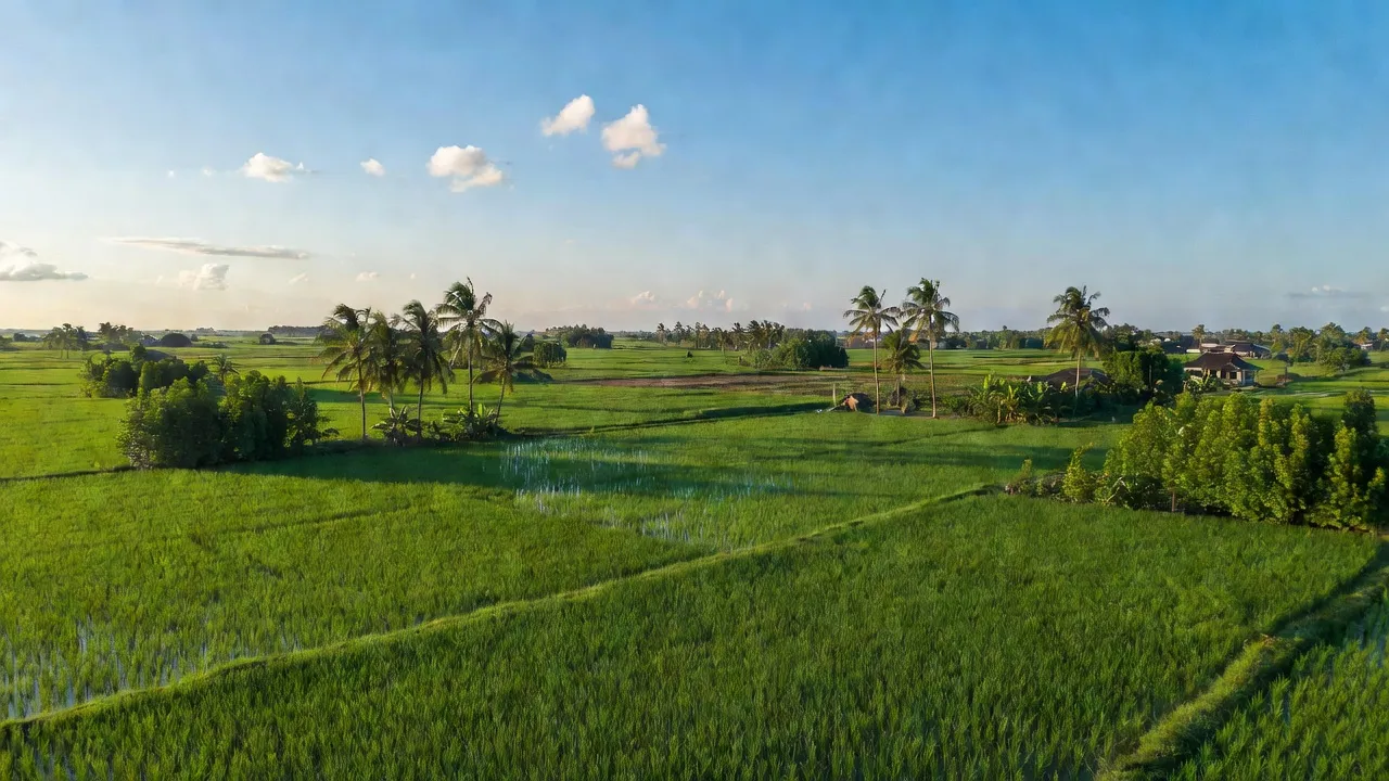 Mỹ Lâm - hình ảnh minh họa 1