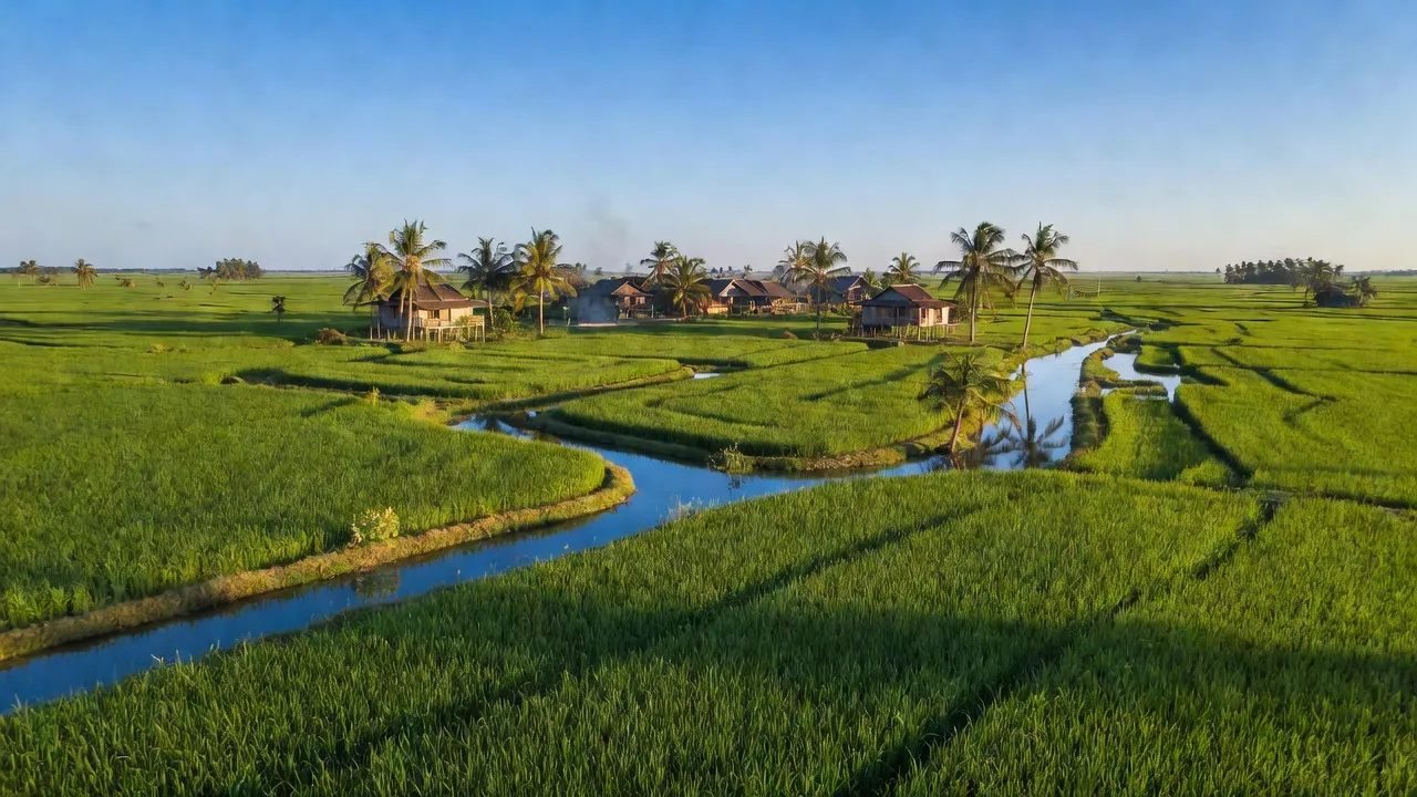 Khung cảnh tuyệt đẹp của xã Mỹ Lâm, huyện Hòn Đất, tỉnh Kiên Giang với cánh đồng xanh tươi.