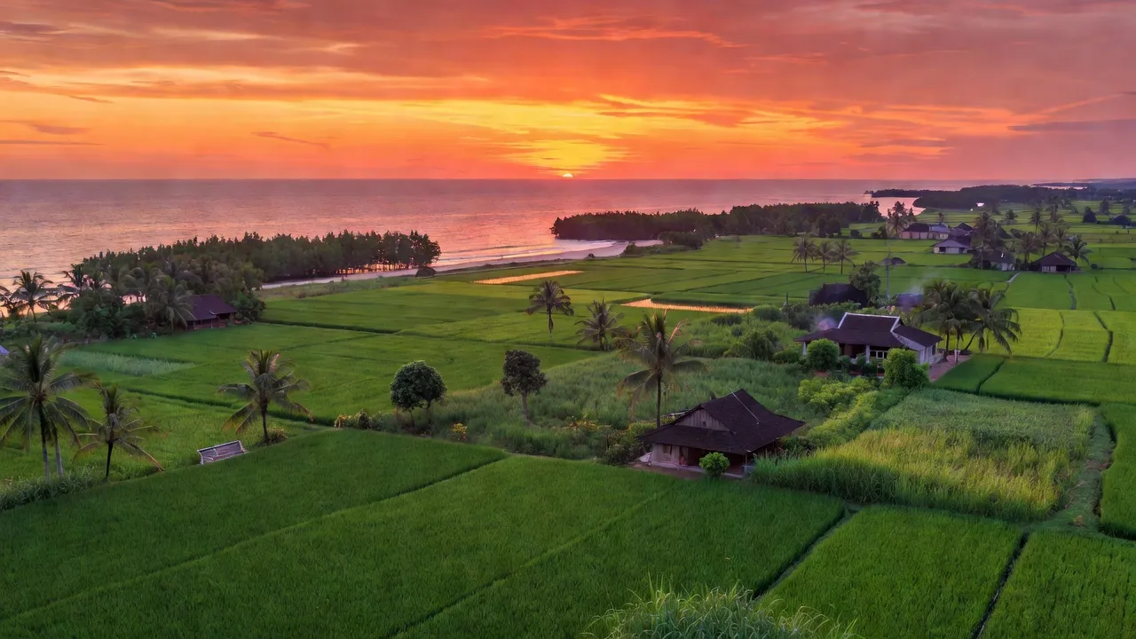 Cảnh biển và đồng xanh xã Sơn Bình, Huyện Hòn Đất, Tỉnh Kiên Giang, Việt Nam.