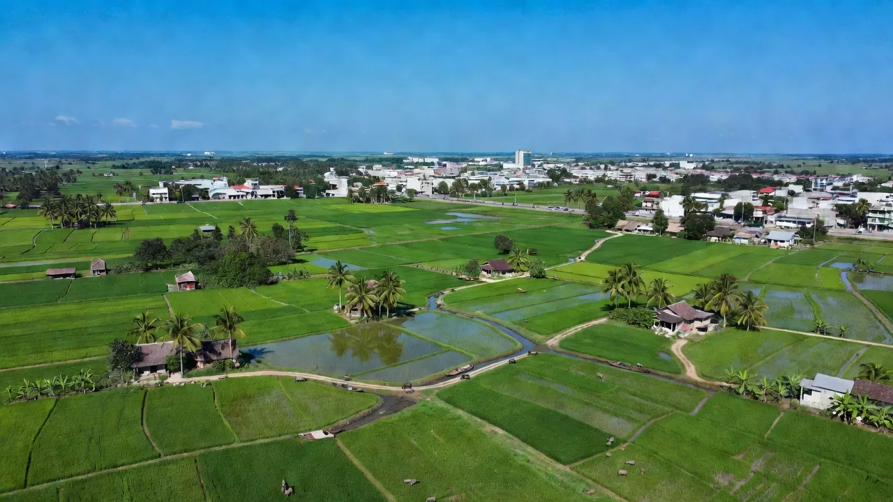 Quang cảnh Xã Phi Thông, Rạch Giá, Kiên Giang với cánh đồng xanh tươi, kết nối đô thị và nông thôn.