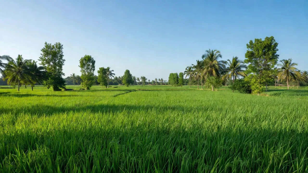 Tân Hội - hình ảnh minh họa 1