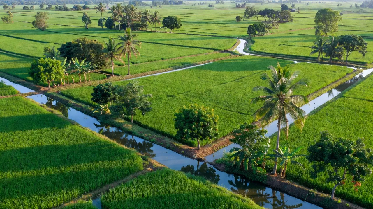 Thạnh Đông A - hình ảnh minh họa 2