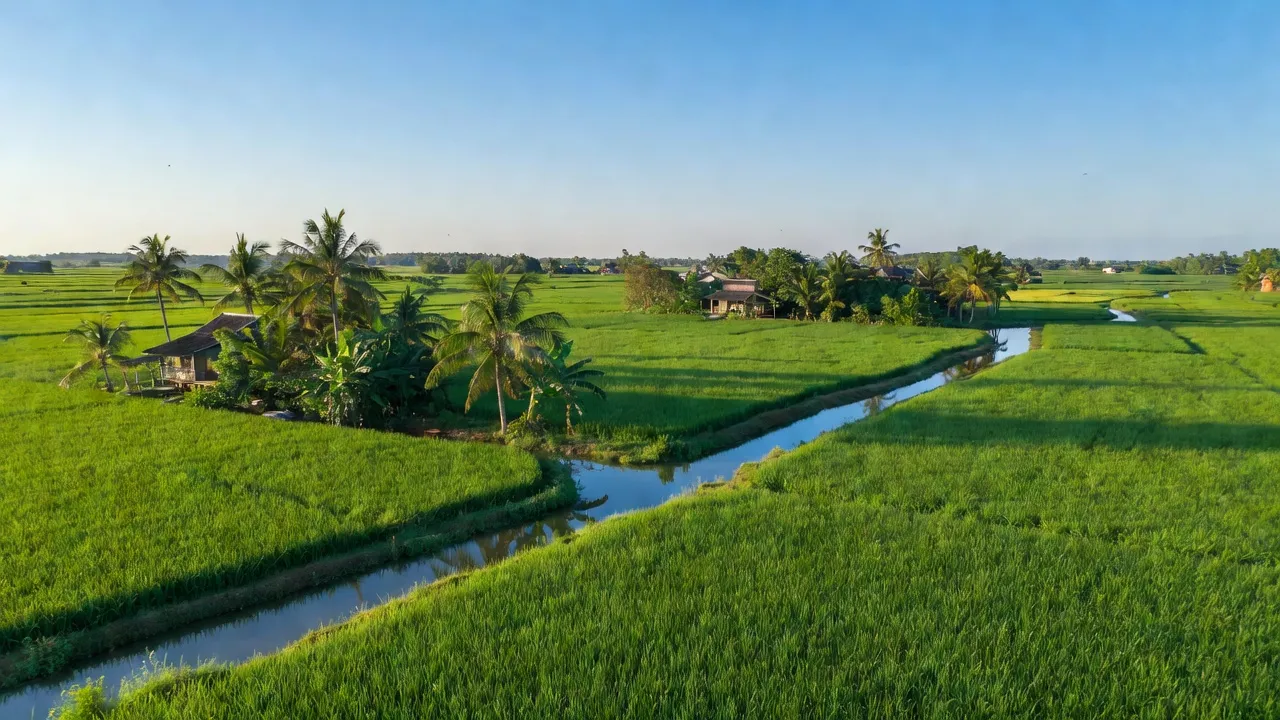 Khung cảnh bình yên xã Thạnh Đông, huyện Tân Hiệp, Kiên Giang với cánh đồng xanh tươi và kênh rạch.