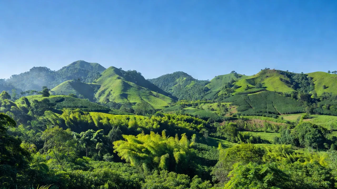 Cảnh quan Xã Đắk La, Huyện Đắk Hà, Tỉnh Kon Tum, đồi núi xanh và thiên nhiên tươi đẹp.