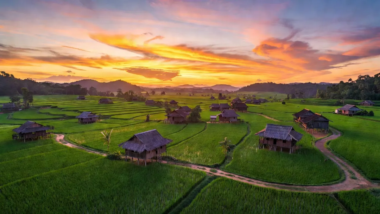Cảnh đẹp xã Đắk Ruồng, huyện Kon Rẫy, tỉnh Kon Tum với cánh đồng lúa xanh tươi.