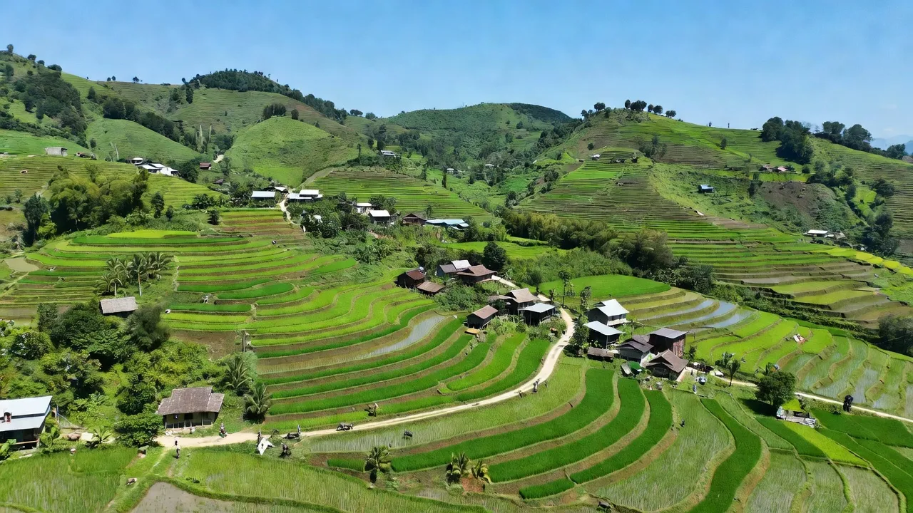 Khung cảnh thiên nhiên tuyệt đẹp tại xã Phúc Khoa, huyện Tân Uyên, tỉnh Lai Châu với ruộng bậc thang.