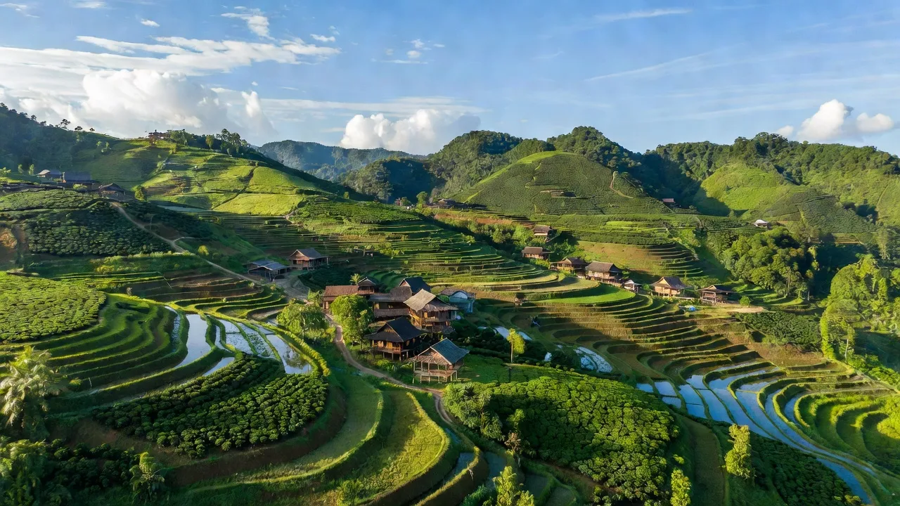 Khung cảnh xã Lộc Lâm, huyện Bảo Lâm, tỉnh Lâm Đồng với đồng ruộng và nhà gỗ truyền thống.