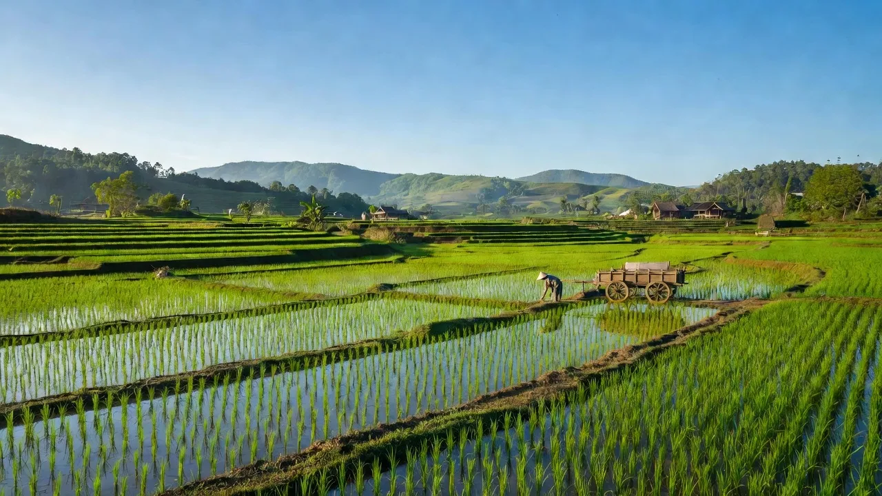 Cảnh quan xã Lộc Nam, huyện Bảo Lâm, tỉnh Lâm Đồng với cánh đồng xanh và đồi núi xa.