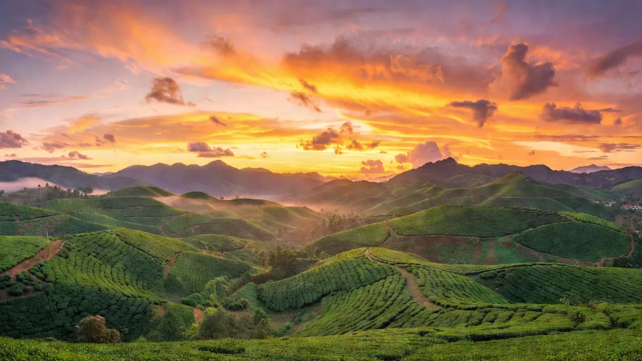 Phường B'lao, Thành phố Bảo Lộc, Tỉnh Lâm Đồng