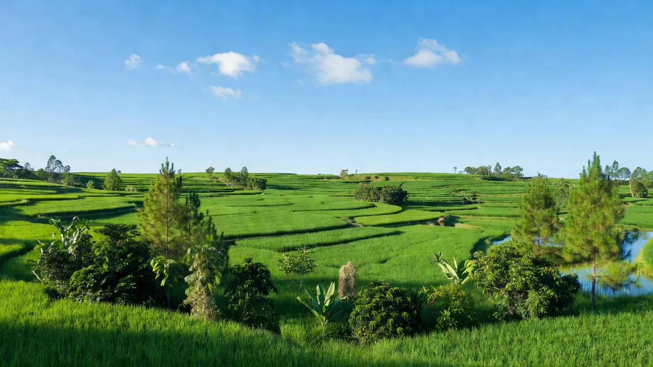 Cảnh nông thôn ở xã Hà Lâm, Đạ Huoai, Lâm Đồng với cánh đồng xanh và bầu trời trong.