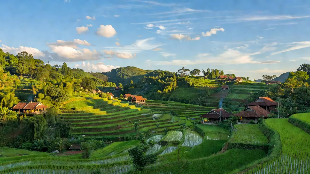 Khung cảnh xã Phước Cát 2, huyện Đạ Huoai, tỉnh Lâm Đồng với cánh đồng xanh và nhà truyền thống.
