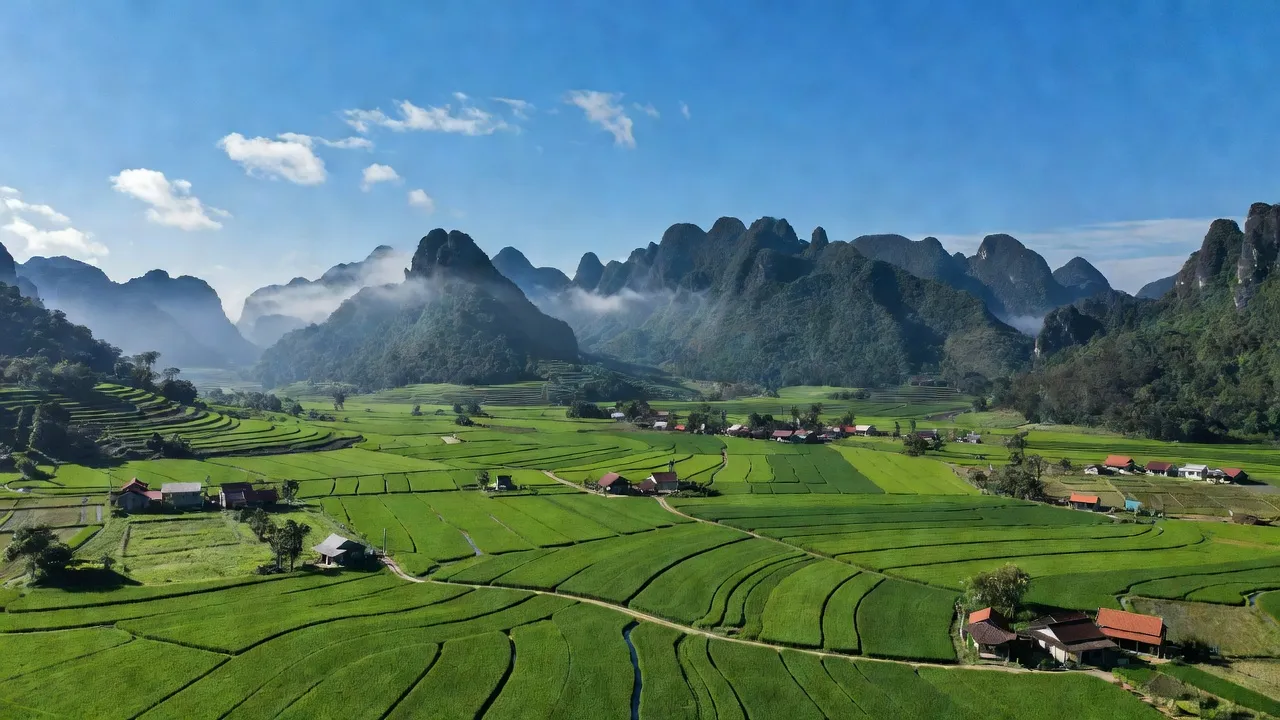 Nhân Lý - hình ảnh minh họa 1