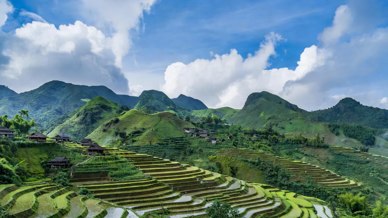 Tòng Sành - hình ảnh minh họa 1