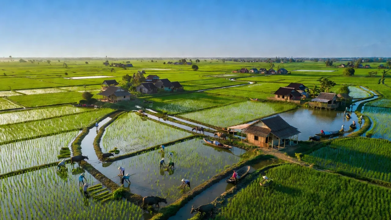 Cảnh quan xanh tươi của xã Mỹ Yên, huyện Bến Lức, với ruộng lúa và dòng sông, cuộc sống nông thôn.