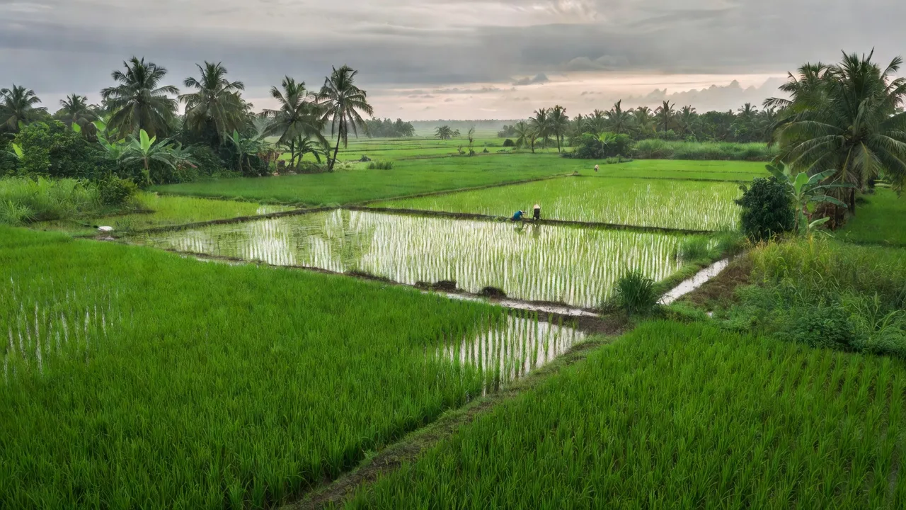 Xã Thạnh Hòa, Huyện Bến Lức, Tỉnh Long An