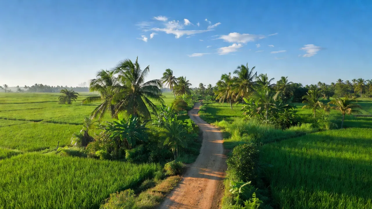 Thạnh Hòa - hình ảnh minh họa 1