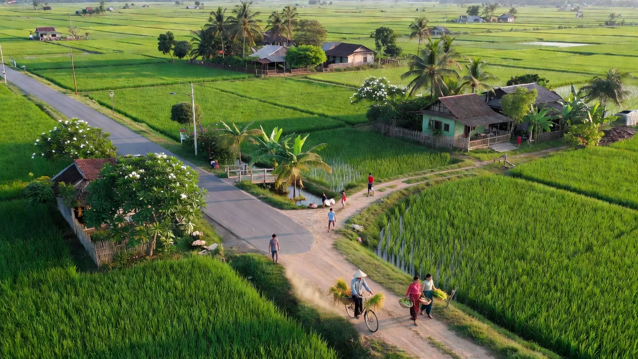 Xã Long Cang, huyện Cần Đước, Long An, với ruộng xanh và cảnh giao thông nhộn nhịp.